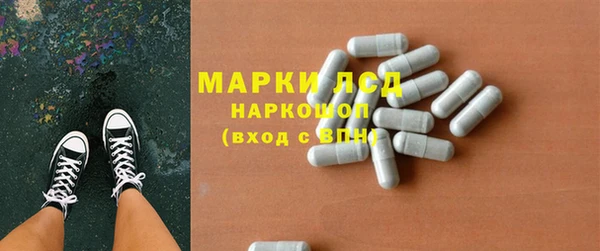 стаф Верея