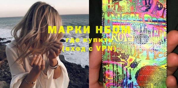 стаф Верея