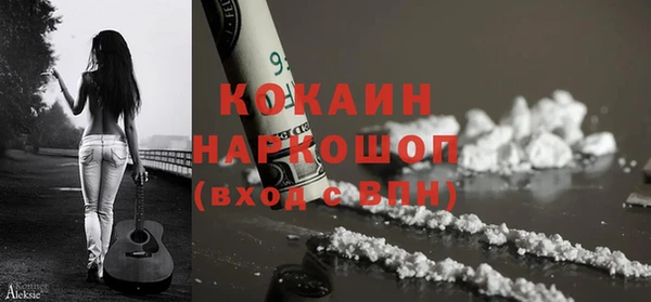 стаф Верея