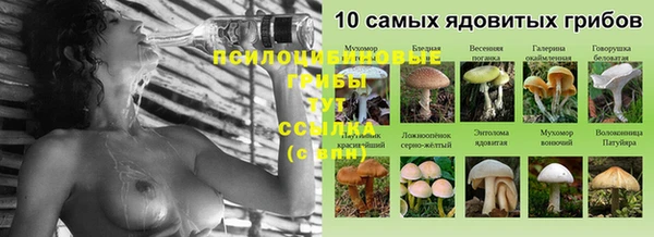 стаф Верея