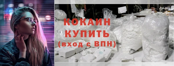 стаф Верея